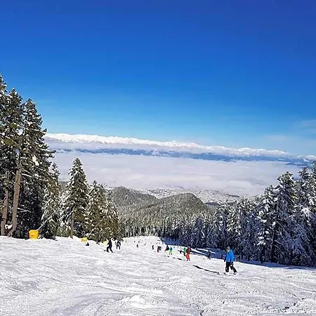 Hotel Belvedere Bansko
